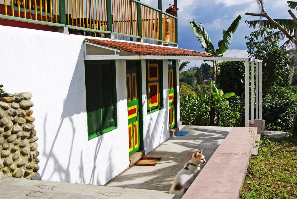 Hostal Casa De Los Taitas Salento Exteriér fotografie