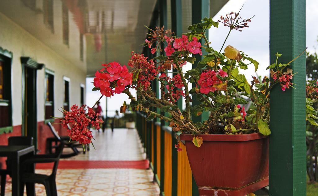 Hostal Casa De Los Taitas Salento Exteriér fotografie